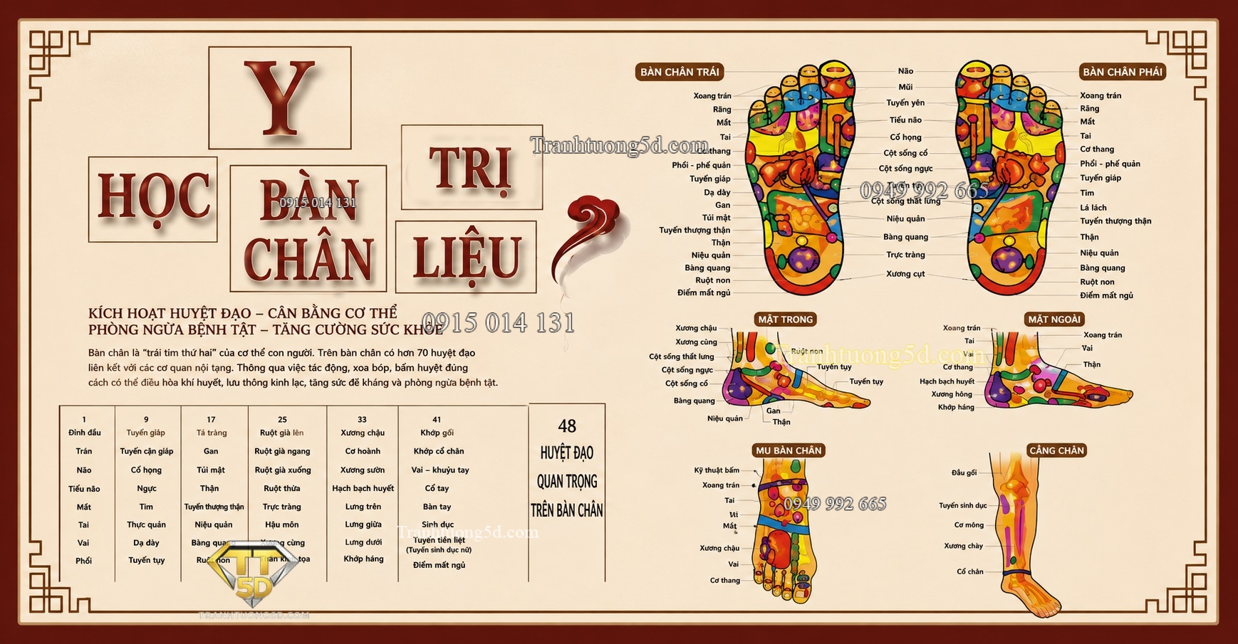Tranh dán tường y học bàn chân trị liệu 2026320