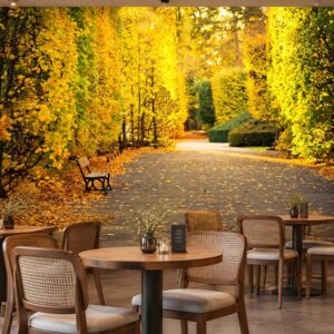Tranh mùa thu dán tường quán cafe con đường lá vàng nắng thu 00138